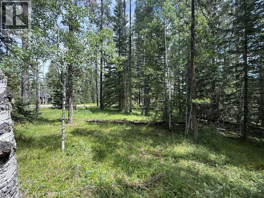 24 Pears Road, Waiparous, Alberta  T4C 1B7 - Photo 11 - A2243033