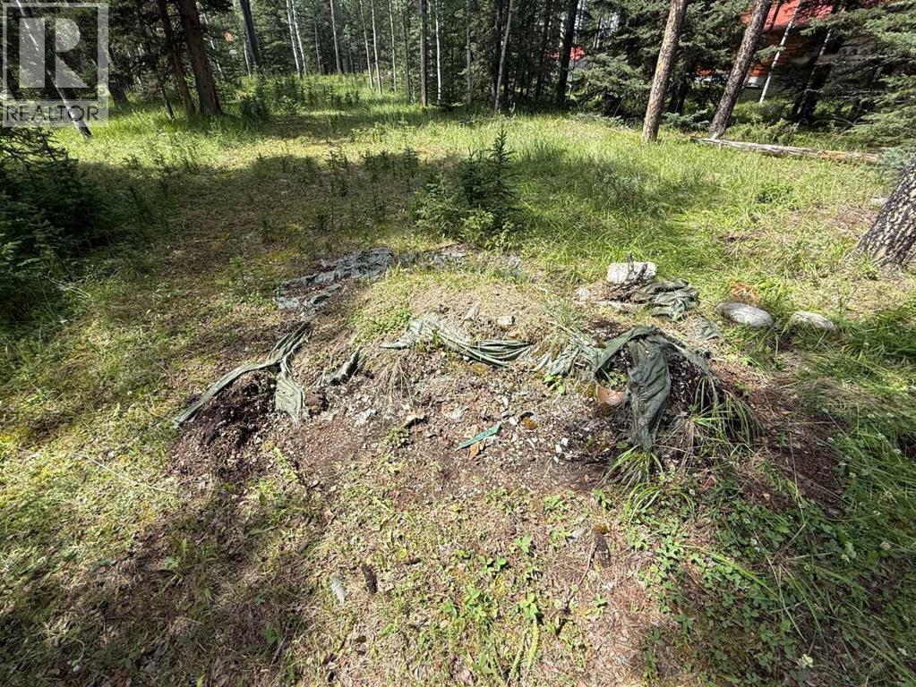 24 Pears Road, Waiparous, Alberta  T4C 1B7 - Photo 13 - A2243033