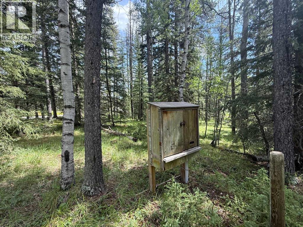 24 Pears Road, Waiparous, Alberta  T4C 1B7 - Photo 15 - A2243033