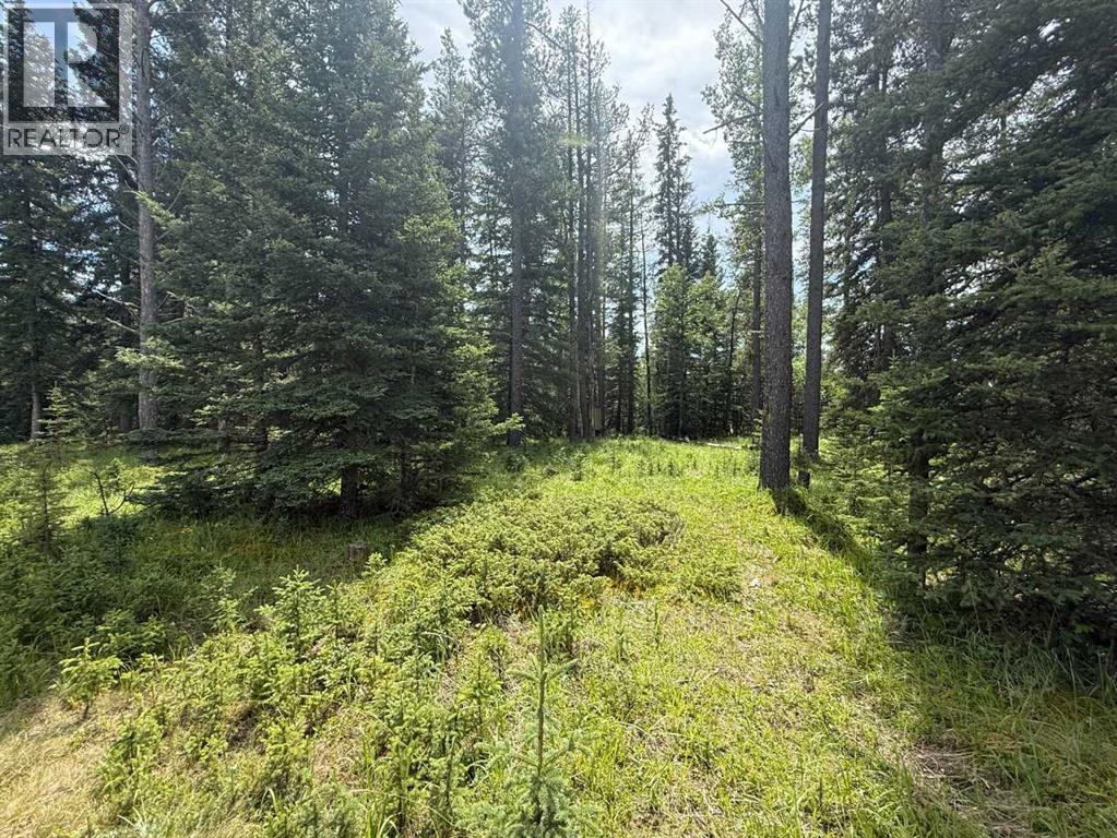 24 Pears Road, Waiparous, Alberta  T4C 1B7 - Photo 8 - A2243033