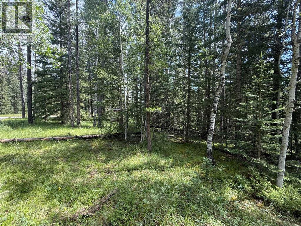 24 Pears Road, Waiparous, Alberta  T4C 1B7 - Photo 12 - A2243033