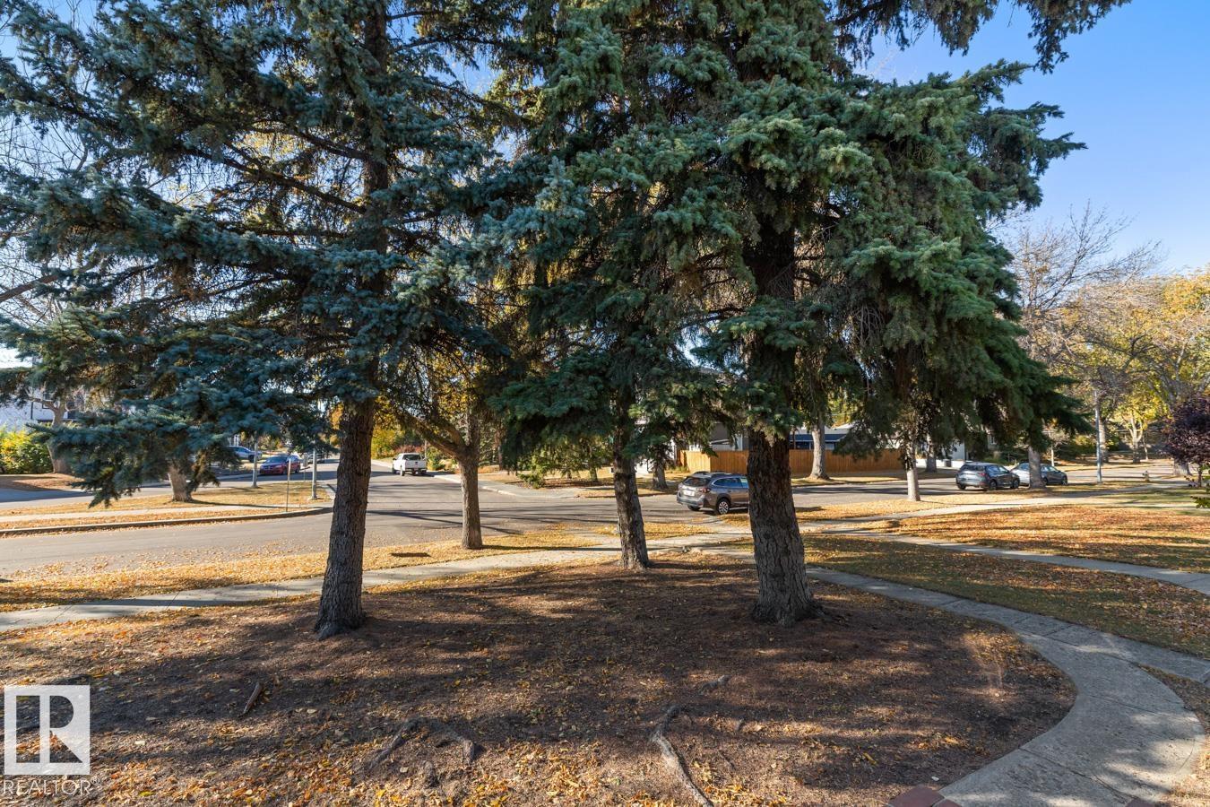 8671 76 St Nw, Edmonton, Alberta  T6C 2K1 - Photo 3 - E4462608