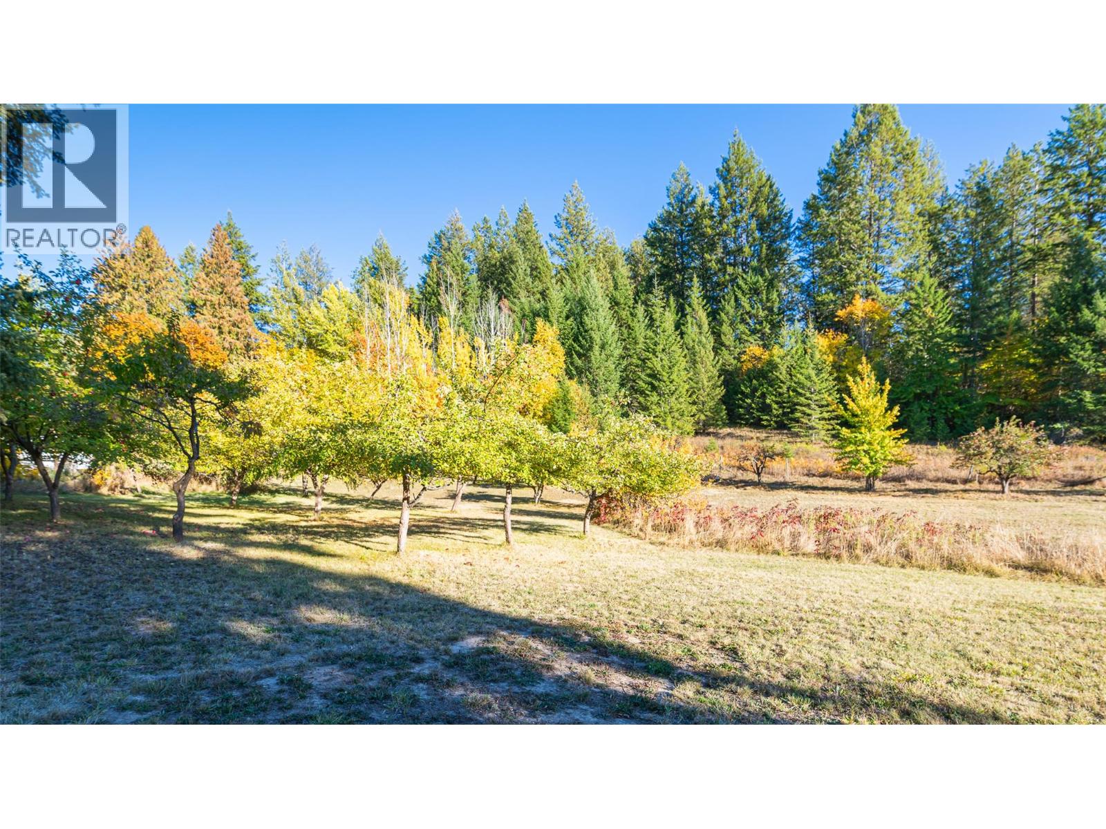 5060 3a Highway, Wynndel, British Columbia  V0B 2N2 - Photo 23 - 10365671