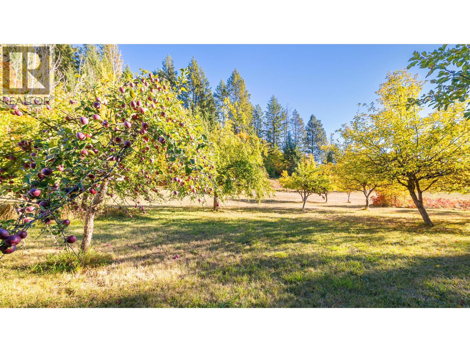 5060 3a Highway, Wynndel, British Columbia  V0B 2N2 - Photo 21 - 10365671