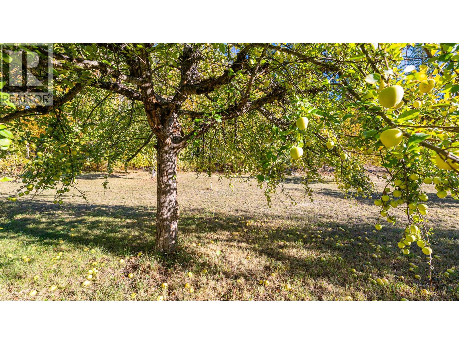 5060 3a Highway, Wynndel, British Columbia  V0B 2N2 - Photo 20 - 10365671