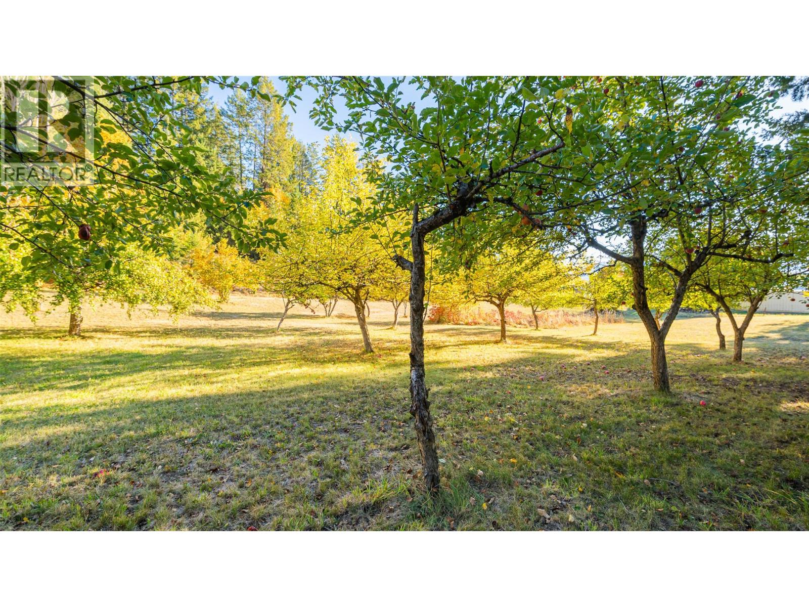 5060 3a Highway, Wynndel, British Columbia  V0B 2N2 - Photo 22 - 10365671