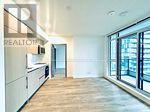 2008 - 38 Widmer Street, Toronto, Ontario  M5V 2E9 - Photo 10 - C12469524