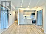 2008 - 38 Widmer Street, Toronto, Ontario  M5V 2E9 - Photo 6 - C12469524