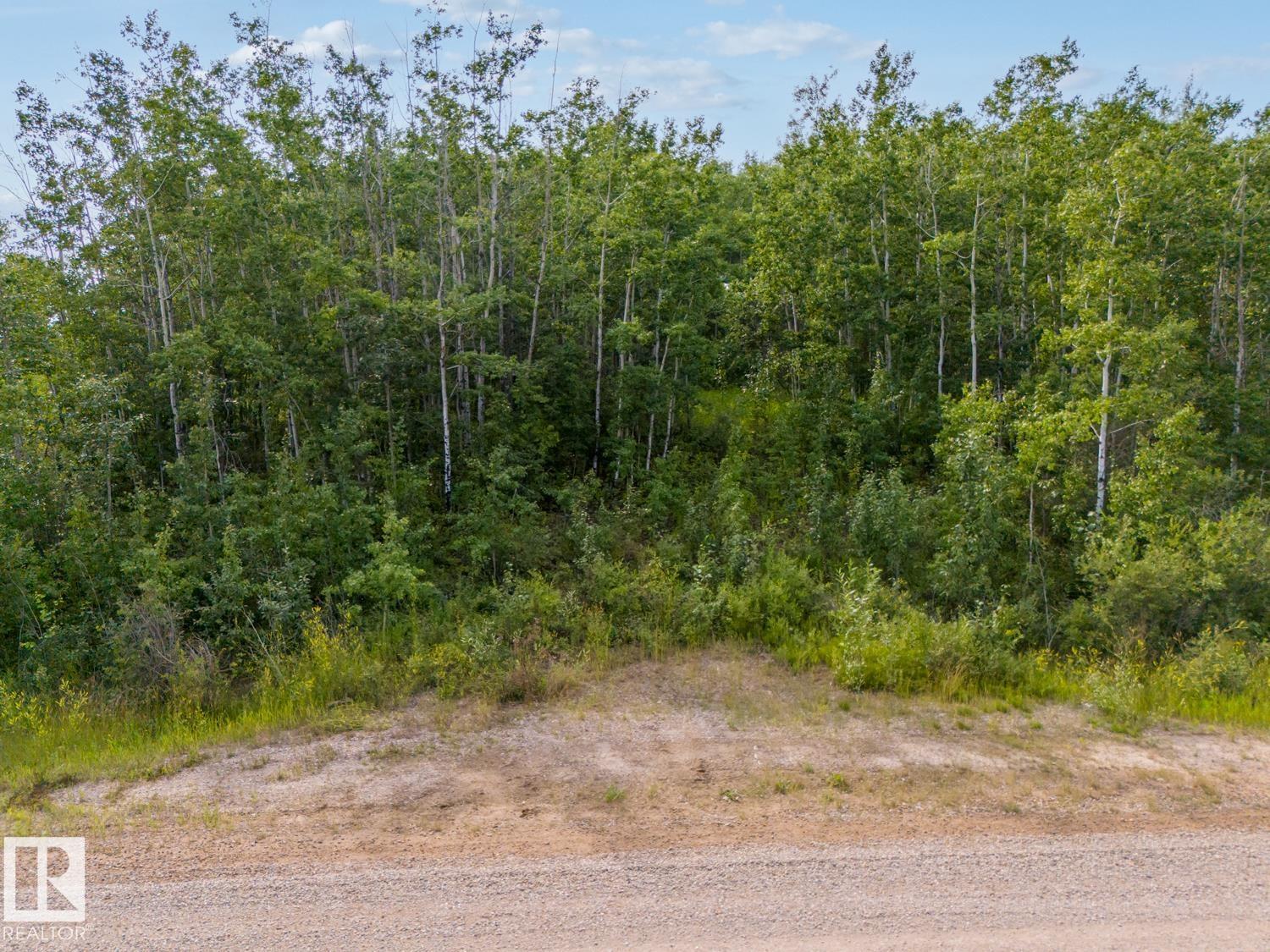 61522b Range Road 434, Rural Bonnyville M.d., Alberta  T9M 2J6 - Photo 6 - E4462622