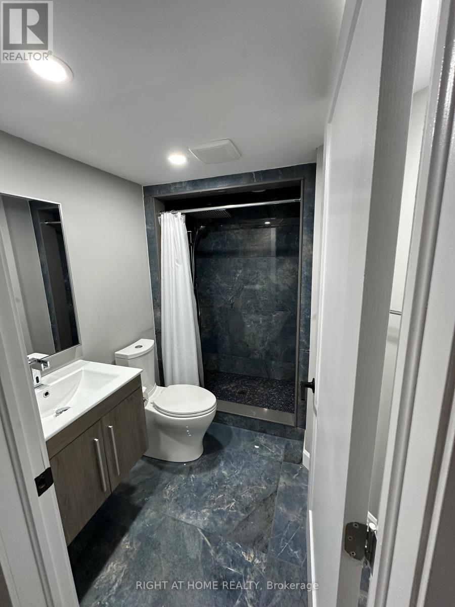 Basement - 53 Burnaby Drive, Georgina, Ontario  L4P 3Y9 - Photo 6 - N12469596