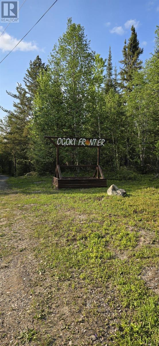 Frontier Trail Off Hwy 527, Armstrong Station, Ontario  P0T 1A0 - Photo 11 - TB253238