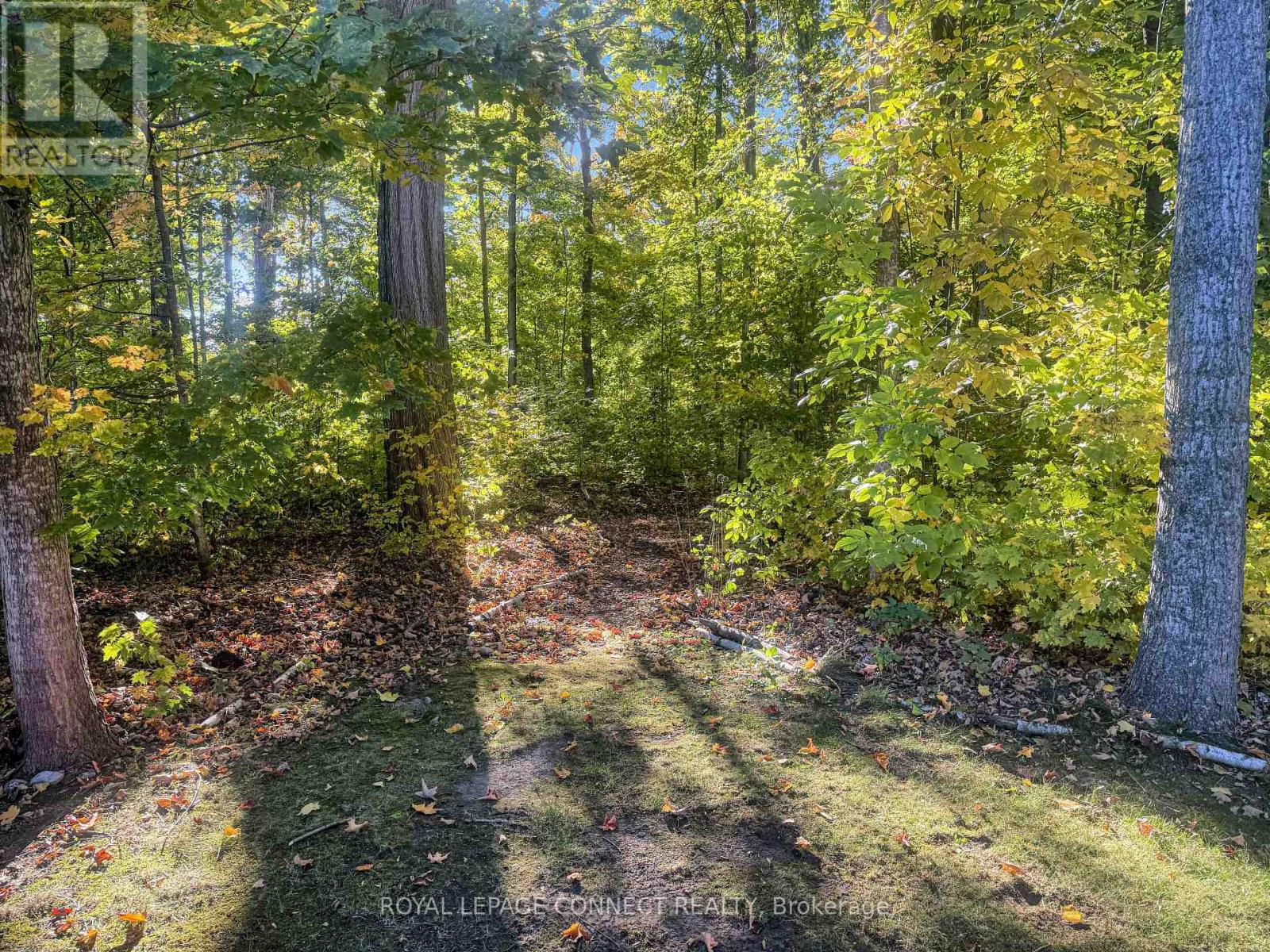 201 - 36 Hollow Lane, Prince Edward County, Ontario  K0K 1P0 - Photo 7 - X12469605