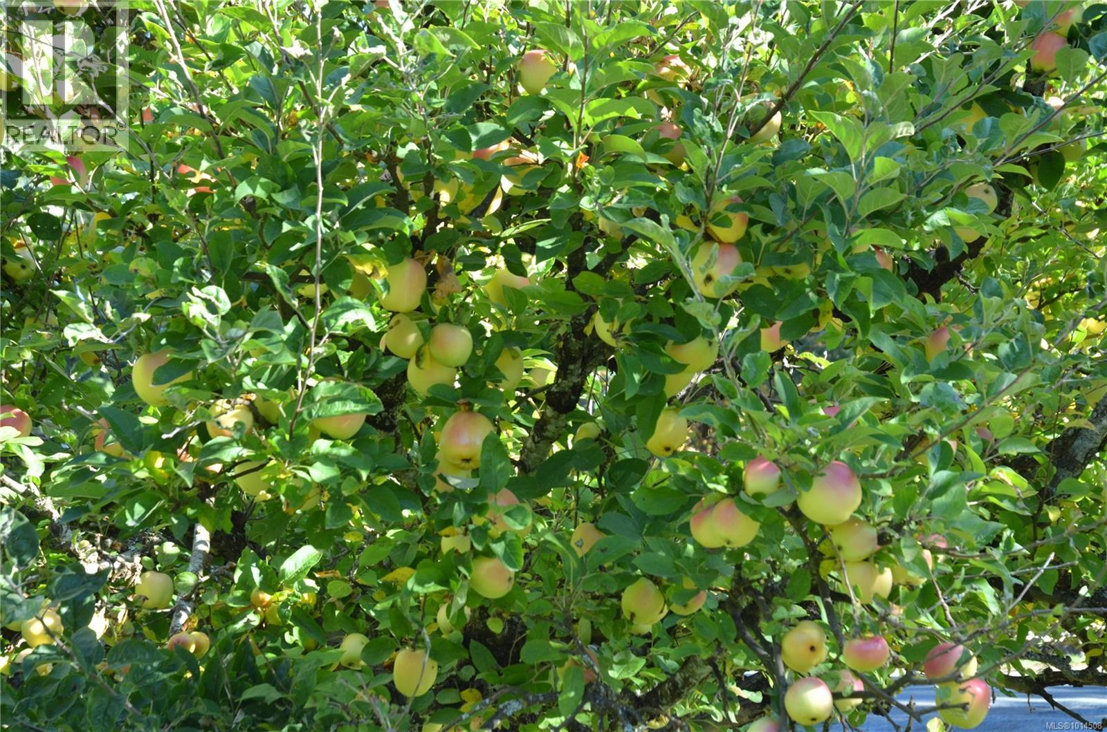 198 Saltspring Way, Salt Spring, British Columbia  V8K 2G2 - Photo 38 - 1014508