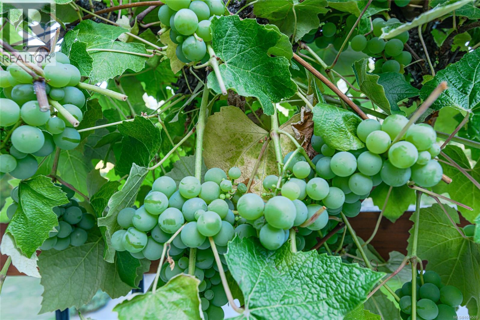 198 Saltspring Way, Salt Spring, British Columbia  V8K 2G2 - Photo 40 - 1014508