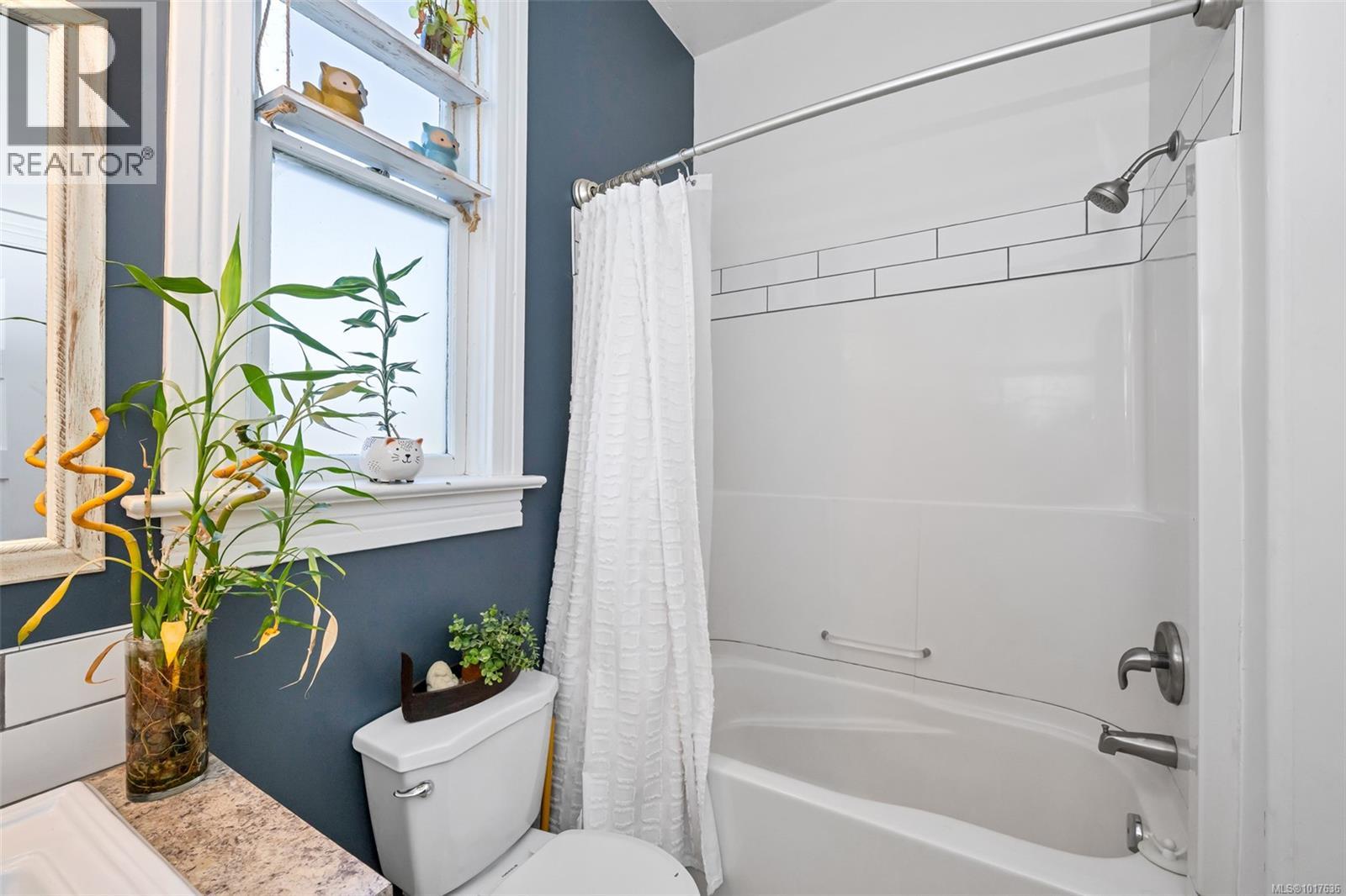 838 Princess Ave, Victoria, British Columbia  V8T 1K8 - Photo 19 - 1017636