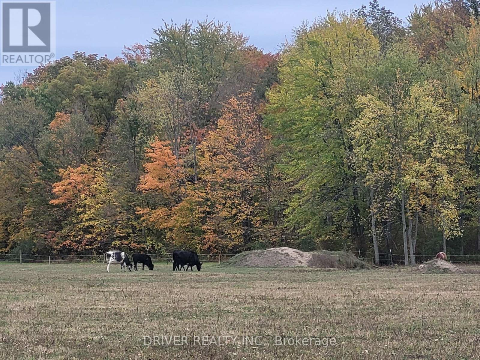 1726 4th Concession Road, Norfolk, Ontario  N0E 1P0 - Photo 12 - X12467543