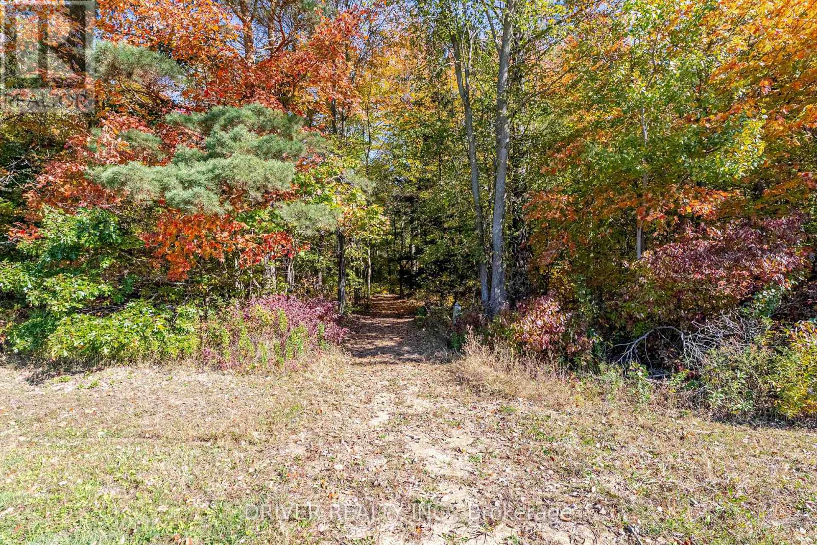 1726 4th Concession Road, Norfolk, Ontario  N0E 1P0 - Photo 16 - X12467543