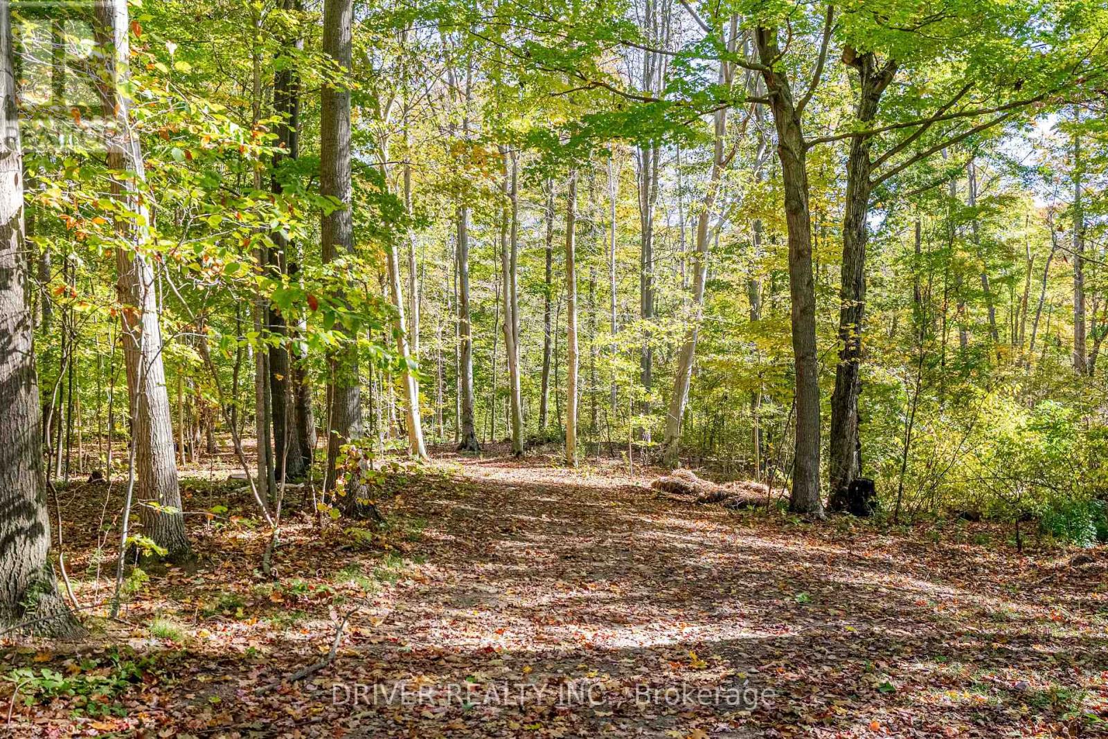1726 4th Concession Road, Norfolk, Ontario  N0E 1P0 - Photo 11 - X12467543