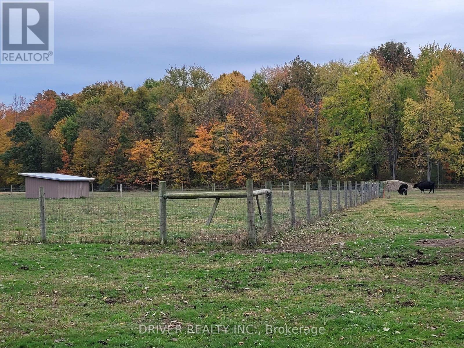 1726 4th Concession Road, Norfolk, Ontario  N0E 1P0 - Photo 13 - X12467543