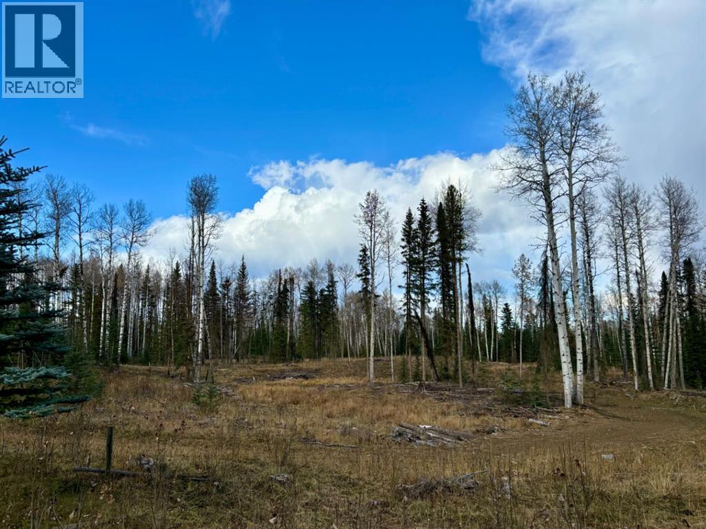 32521,  Range Road 72, Rural Mountain View County, Alberta  T0M 1X0 - Photo 14 - A2264822