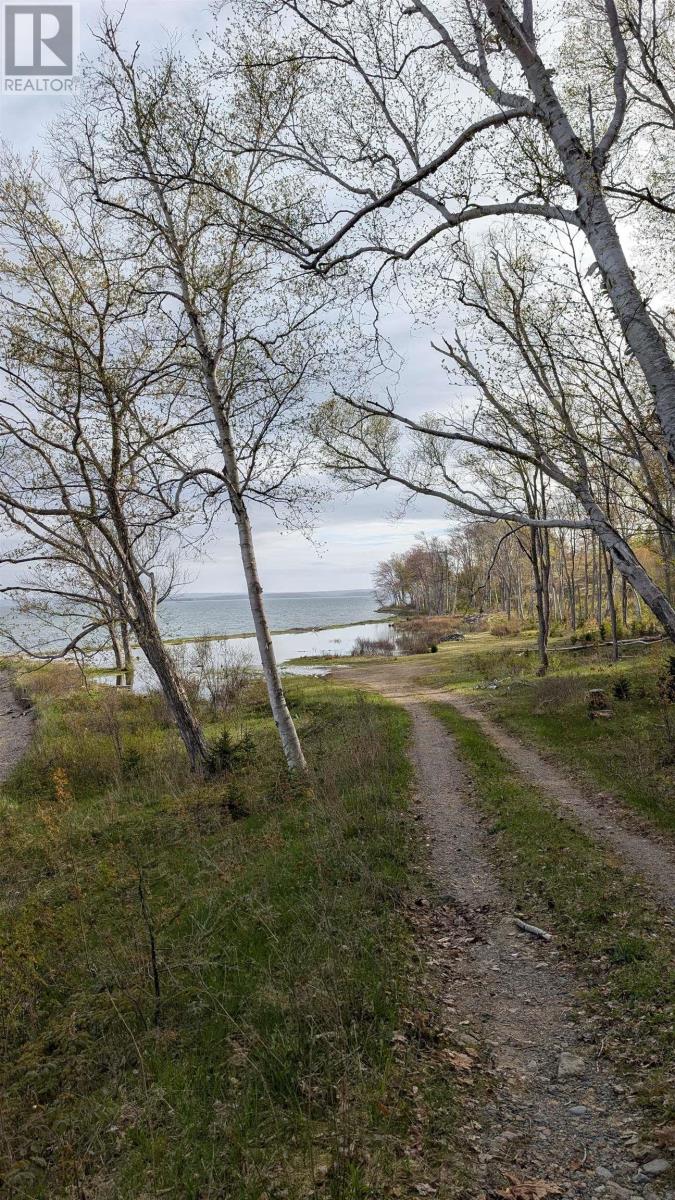 Marble Mountain Road, Lime Hill, Nova Scotia  B0E 3K0 - Photo 16 - 202513838