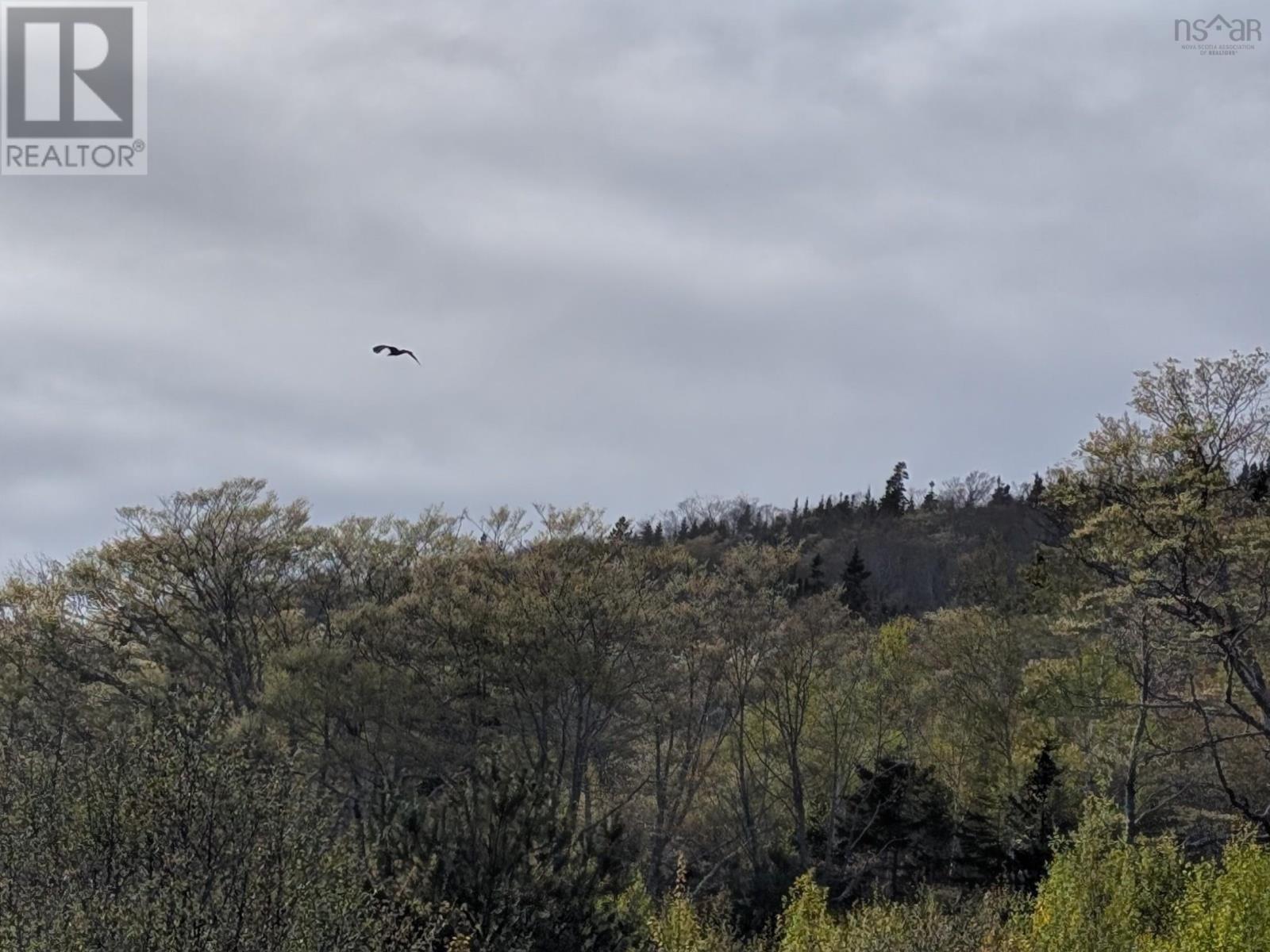 Marble Mountain Road, Lime Hill, Nova Scotia  B0E 3K0 - Photo 28 - 202513838