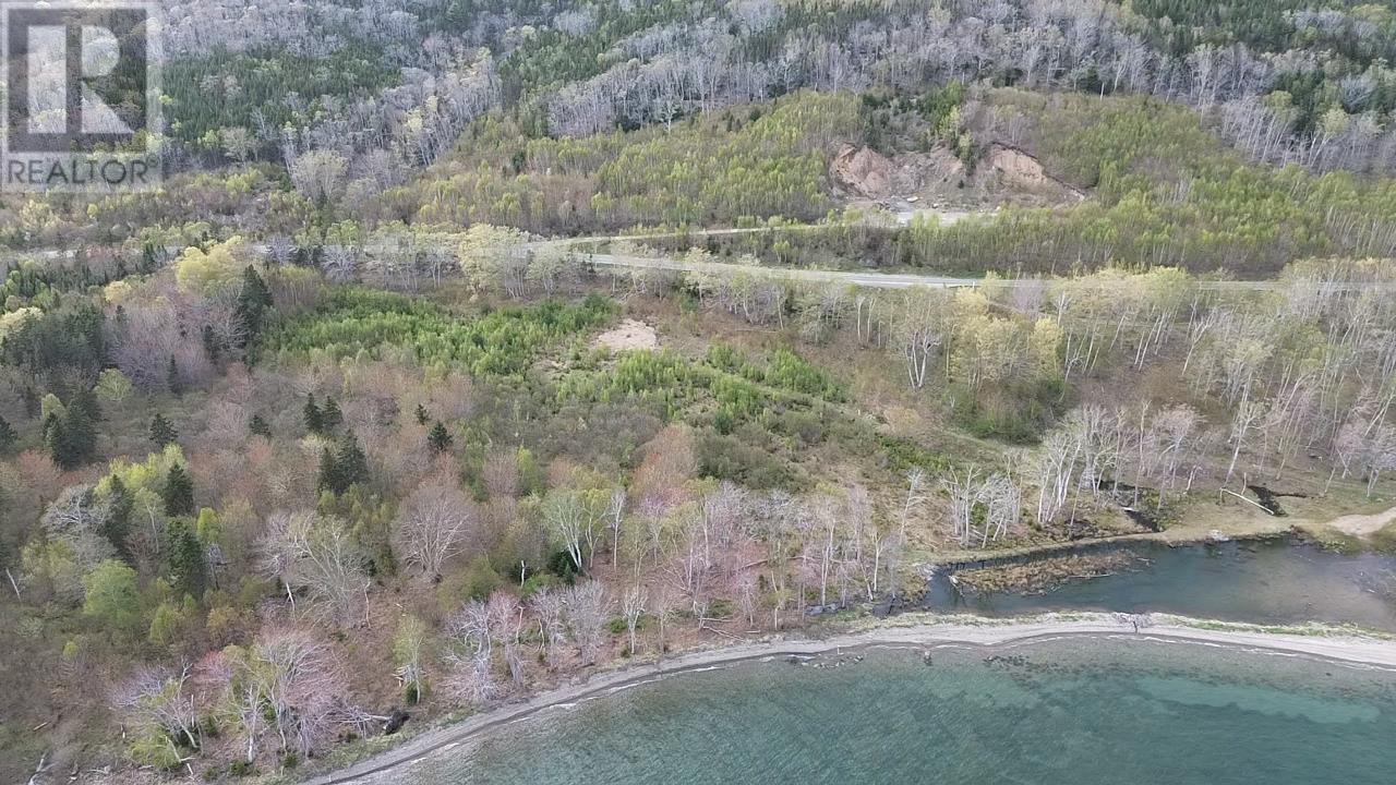 Marble Mountain Road, Lime Hill, Nova Scotia  B0E 3K0 - Photo 9 - 202513838