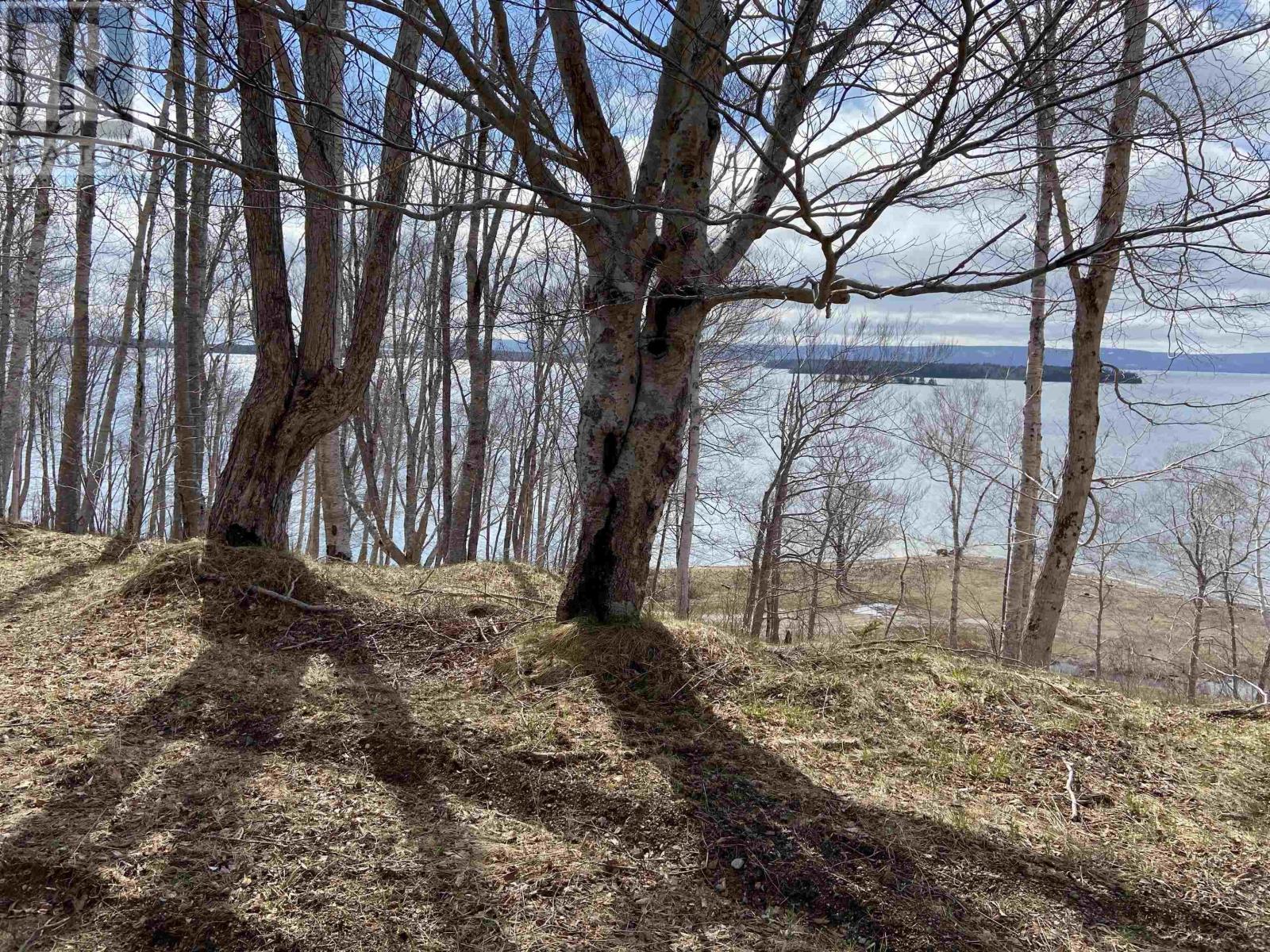 Marble Mountain Road, Lime Hill, Nova Scotia  B0E 3K0 - Photo 6 - 202513838