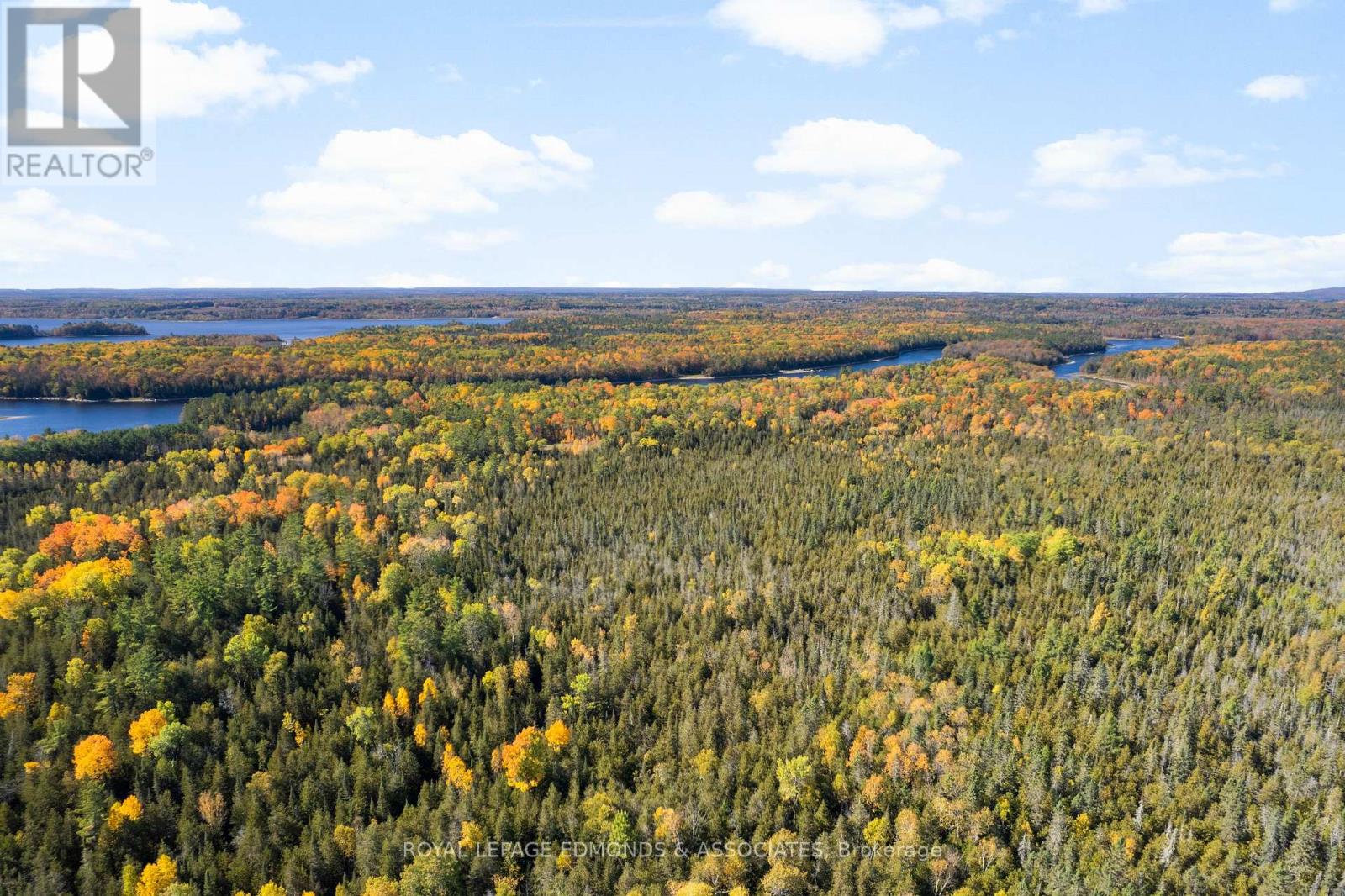 1034 Rapid Road, Whitewater Region, Ontario  K0J 2L0 - Photo 14 - X12289906