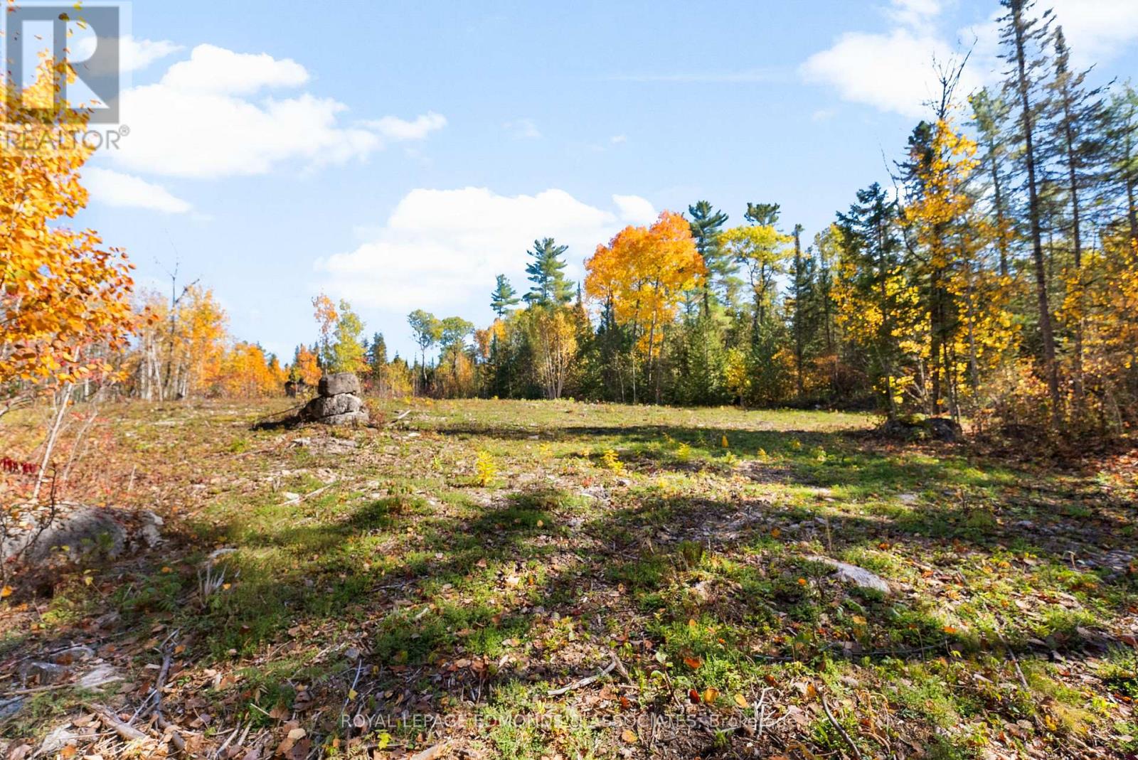 1034 Rapid Road, Whitewater Region, Ontario  K0J 2L0 - Photo 8 - X12289906