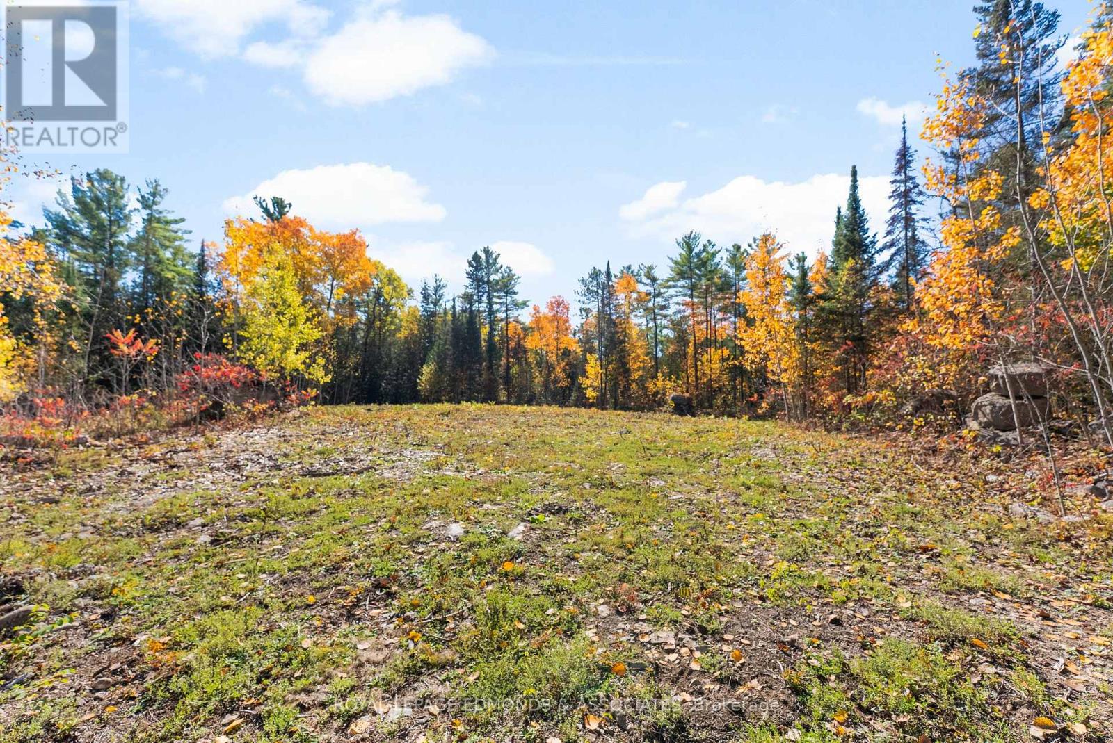 1034 Rapid Road, Whitewater Region, Ontario  K0J 2L0 - Photo 7 - X12289906