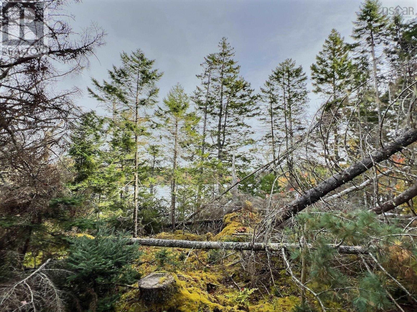 2153, 2159 Lake Charlotte Way, Lake Charlotte, Nova Scotia  B0J 2L0 - Photo 14 - 202525695