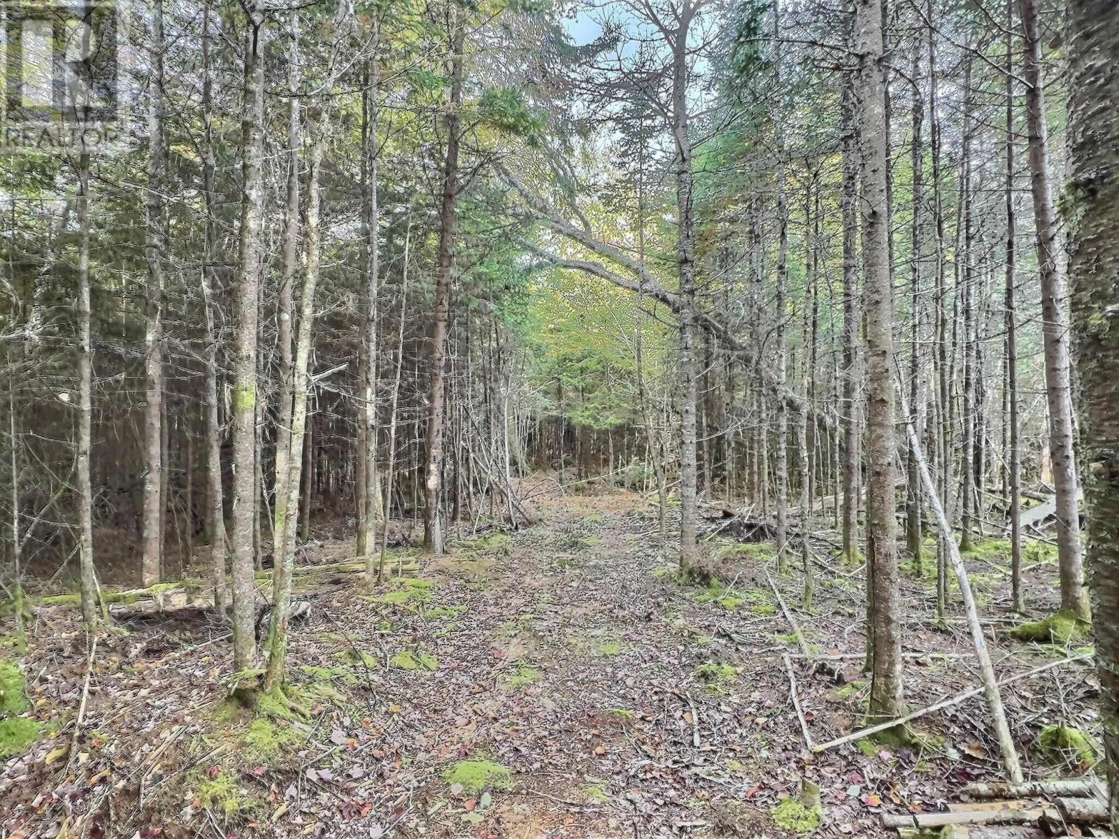 2153, 2159 Lake Charlotte Way, Lake Charlotte, Nova Scotia  B0J 2L0 - Photo 15 - 202525695
