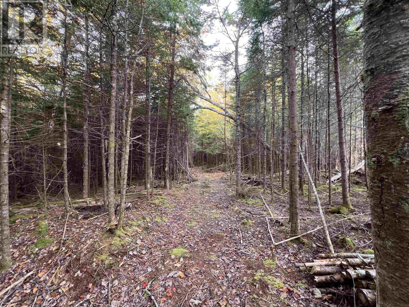 2153, 2159 Lake Charlotte Way, Lake Charlotte, Nova Scotia  B0J 2L0 - Photo 20 - 202525695