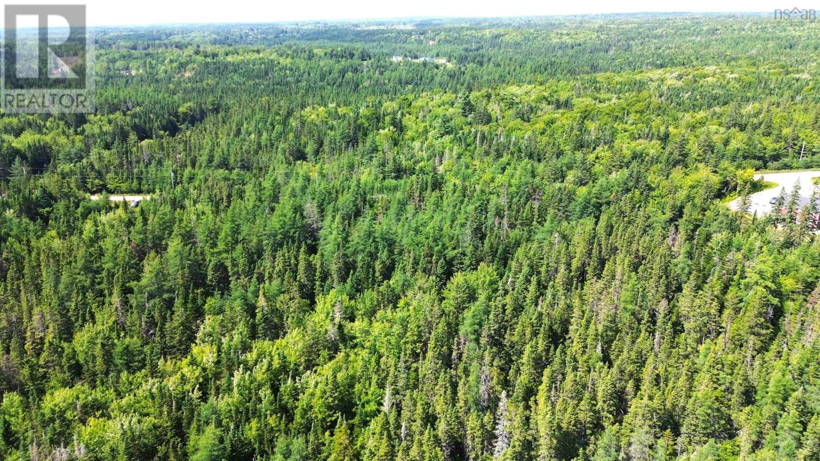 Lot 54 Highway 4, Kempt Road, Helmuts Lane, Cleveland, Nova Scotia  B0E 1J0 - Photo 5 - 202519191