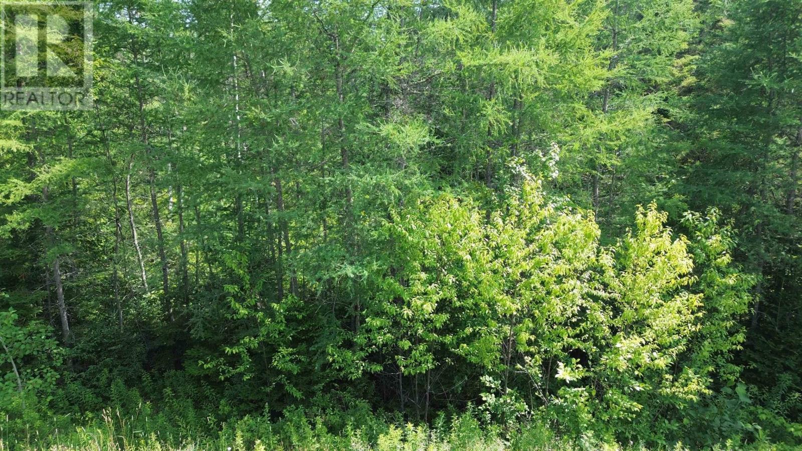 Lot 54 Highway 4, Kempt Road, Helmuts Lane, Cleveland, Nova Scotia  B0E 1J0 - Photo 7 - 202519191