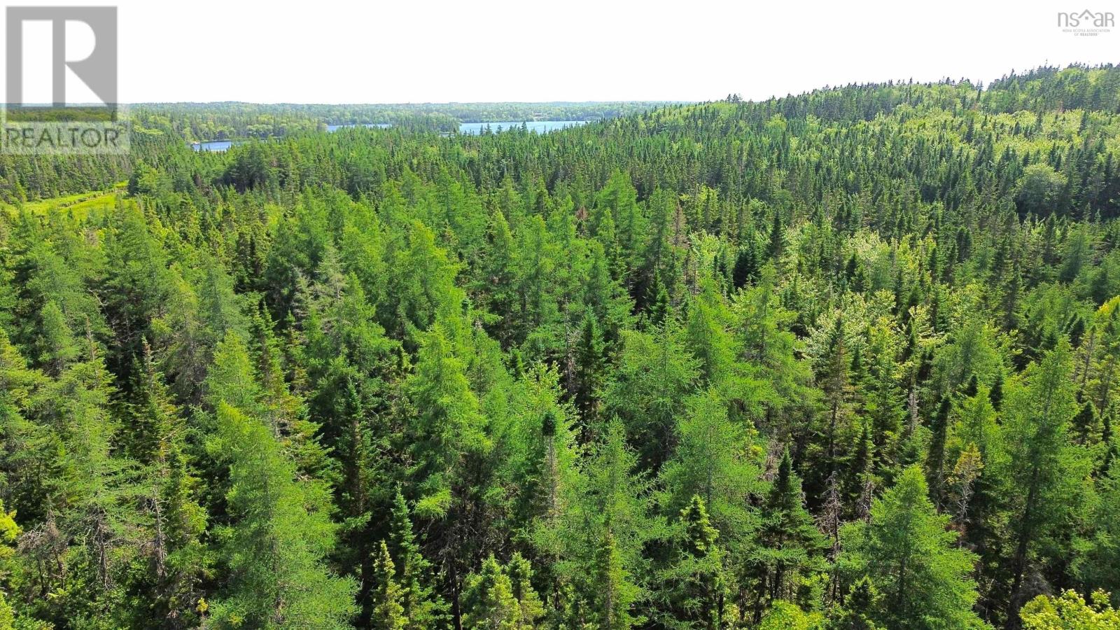 Lot 54 Highway 4, Kempt Road, Helmuts Lane, Cleveland, Nova Scotia  B0E 1J0 - Photo 6 - 202519191