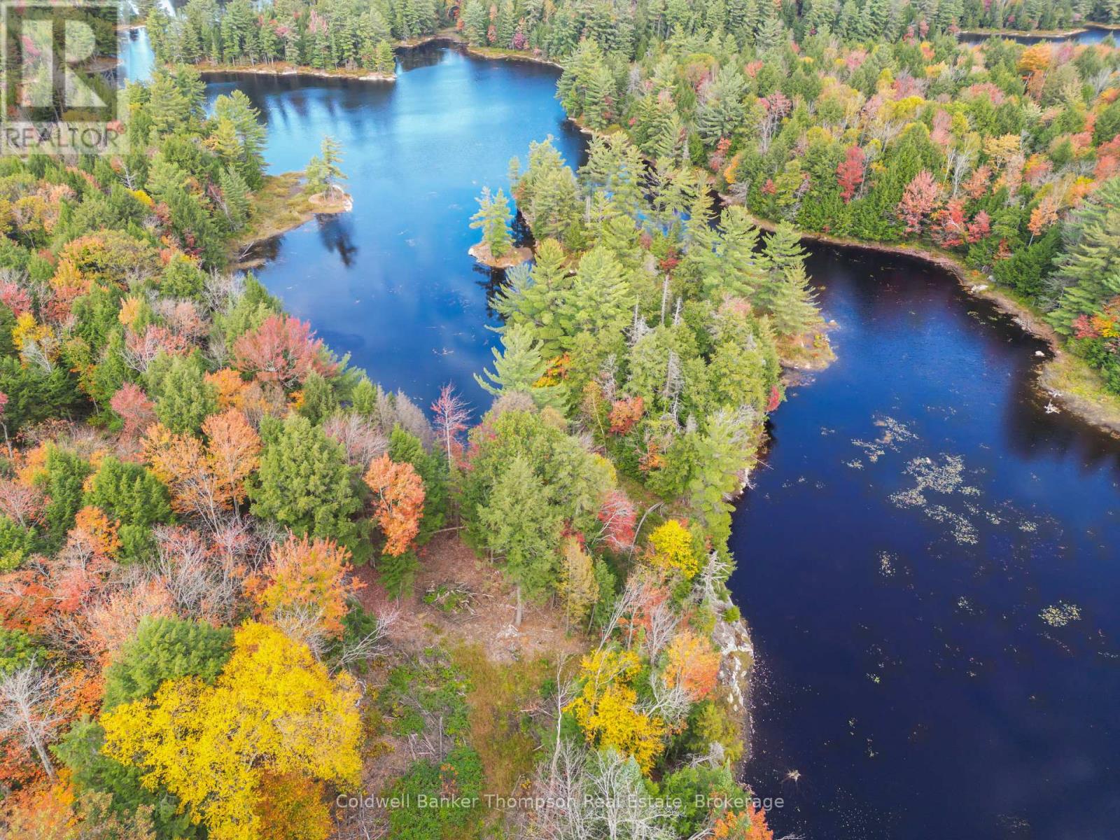 88 Lake Vision Road, Mcmurrich/monteith, Ontario  P0A 1P0 - Photo 12 - X12470112