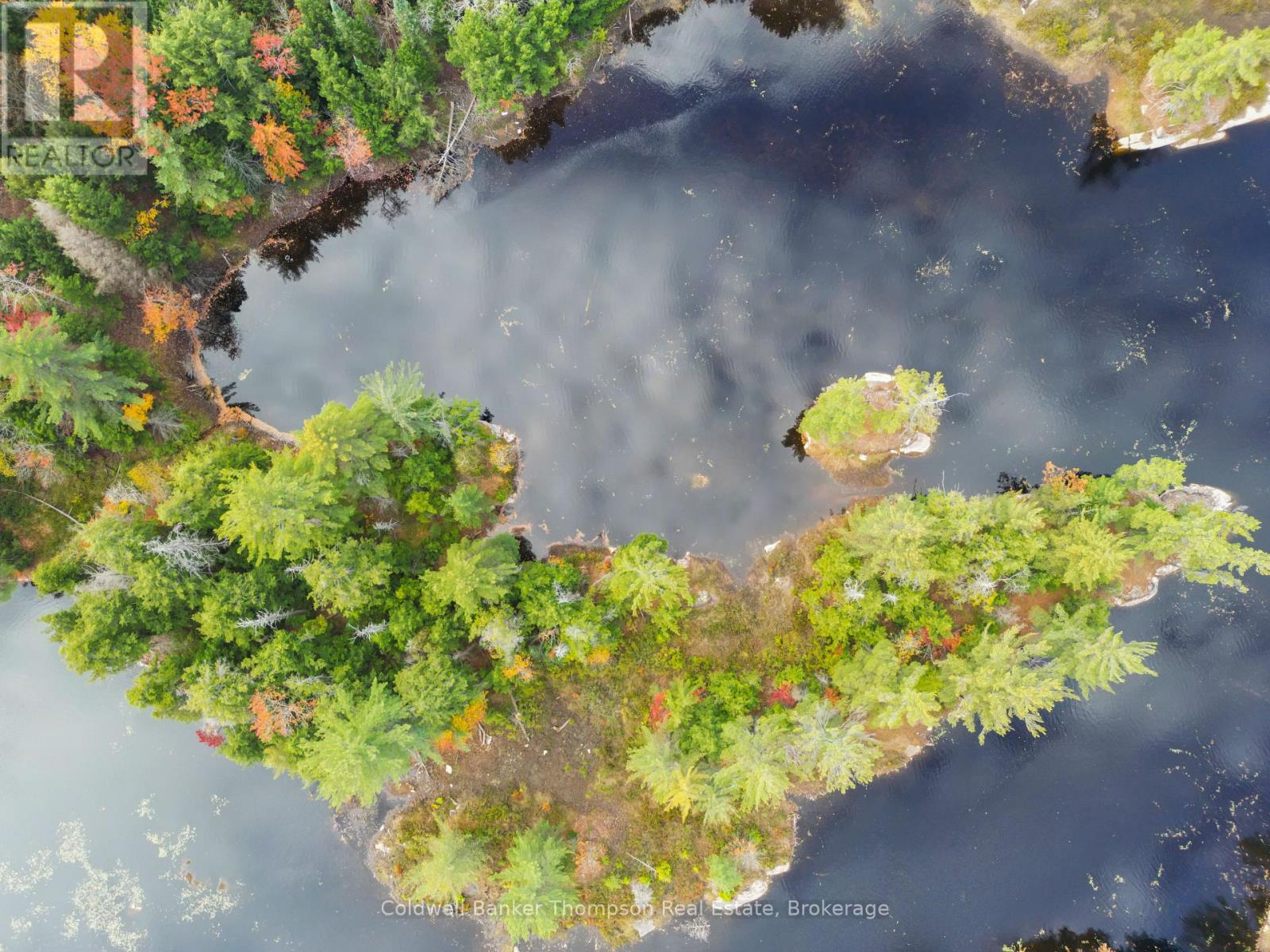 88 Lake Vision Road, Mcmurrich/monteith, Ontario  P0A 1P0 - Photo 14 - X12470112