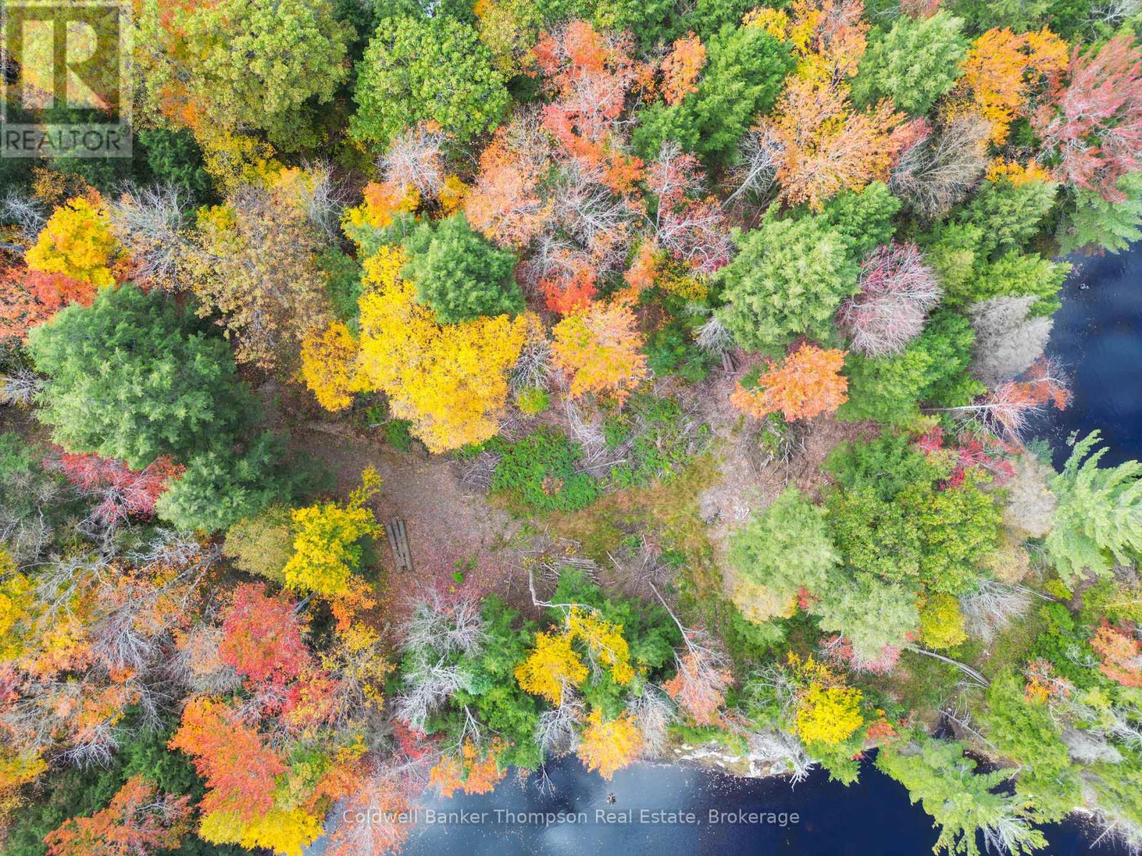 88 Lake Vision Road, Mcmurrich/monteith, Ontario  P0A 1P0 - Photo 17 - X12470112