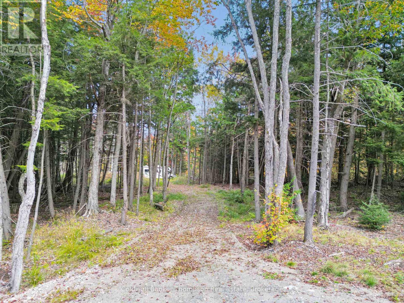 88 Lake Vision Road, Mcmurrich/monteith, Ontario  P0A 1P0 - Photo 5 - X12470112