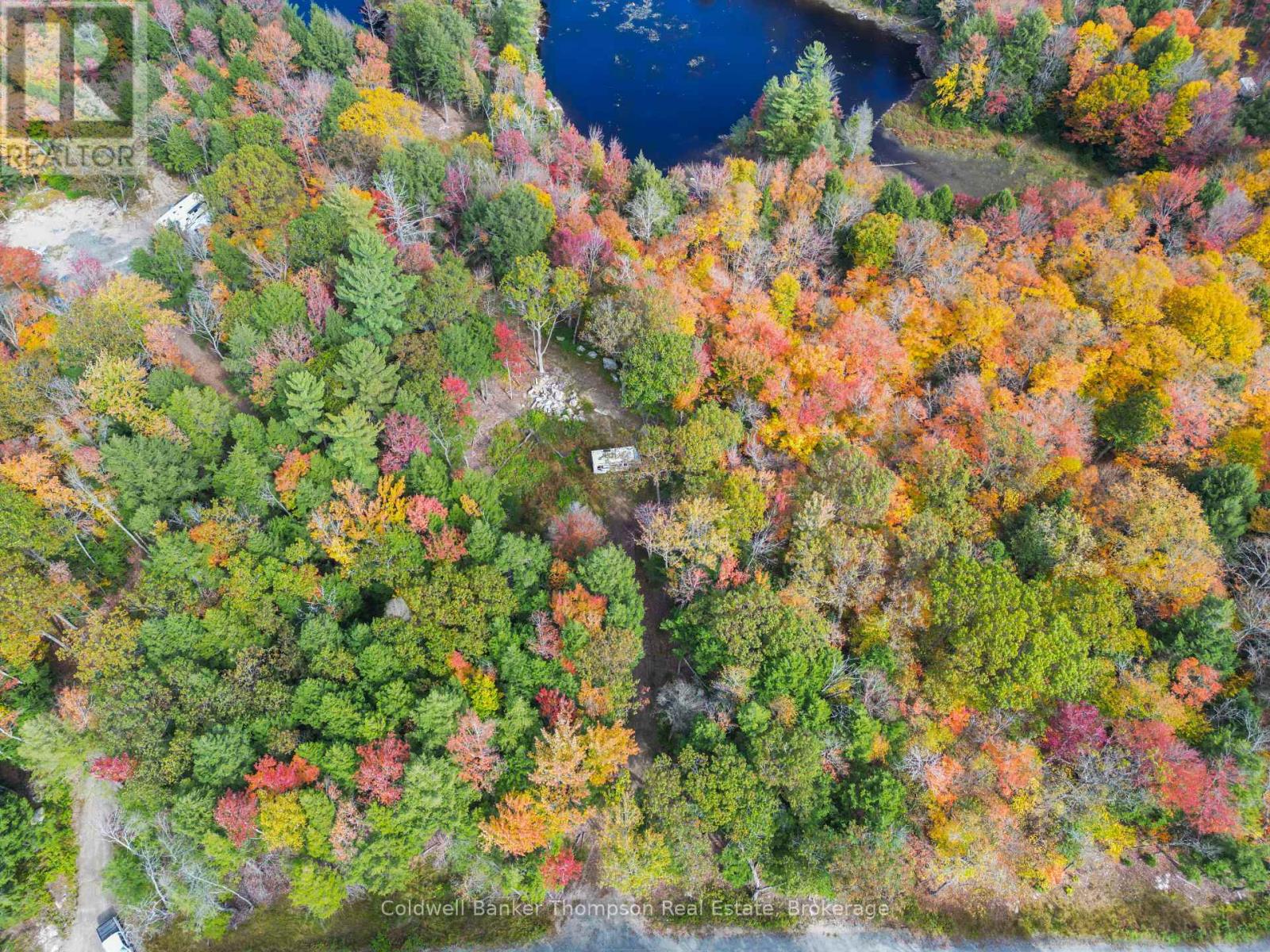 88 Lake Vision Road, Mcmurrich/monteith, Ontario  P0A 1P0 - Photo 7 - X12470112