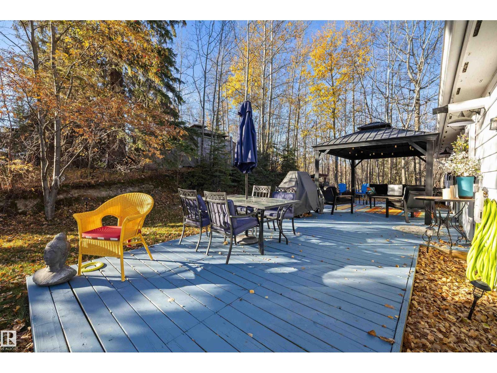 619 6th St, Rural Wetaskiwin County, Alberta  T0C 2V0 - Photo 41 - E4462685
