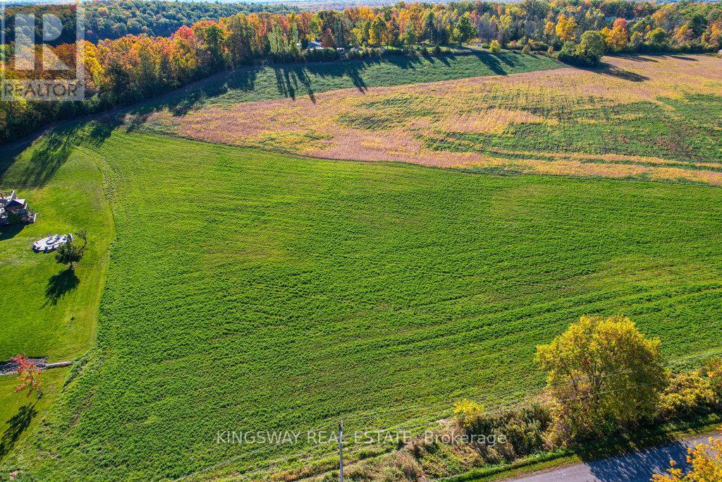242 Percy Boom Road E, Trent Hills, Ontario  K0L 1L0 - Photo 4 - X12381435