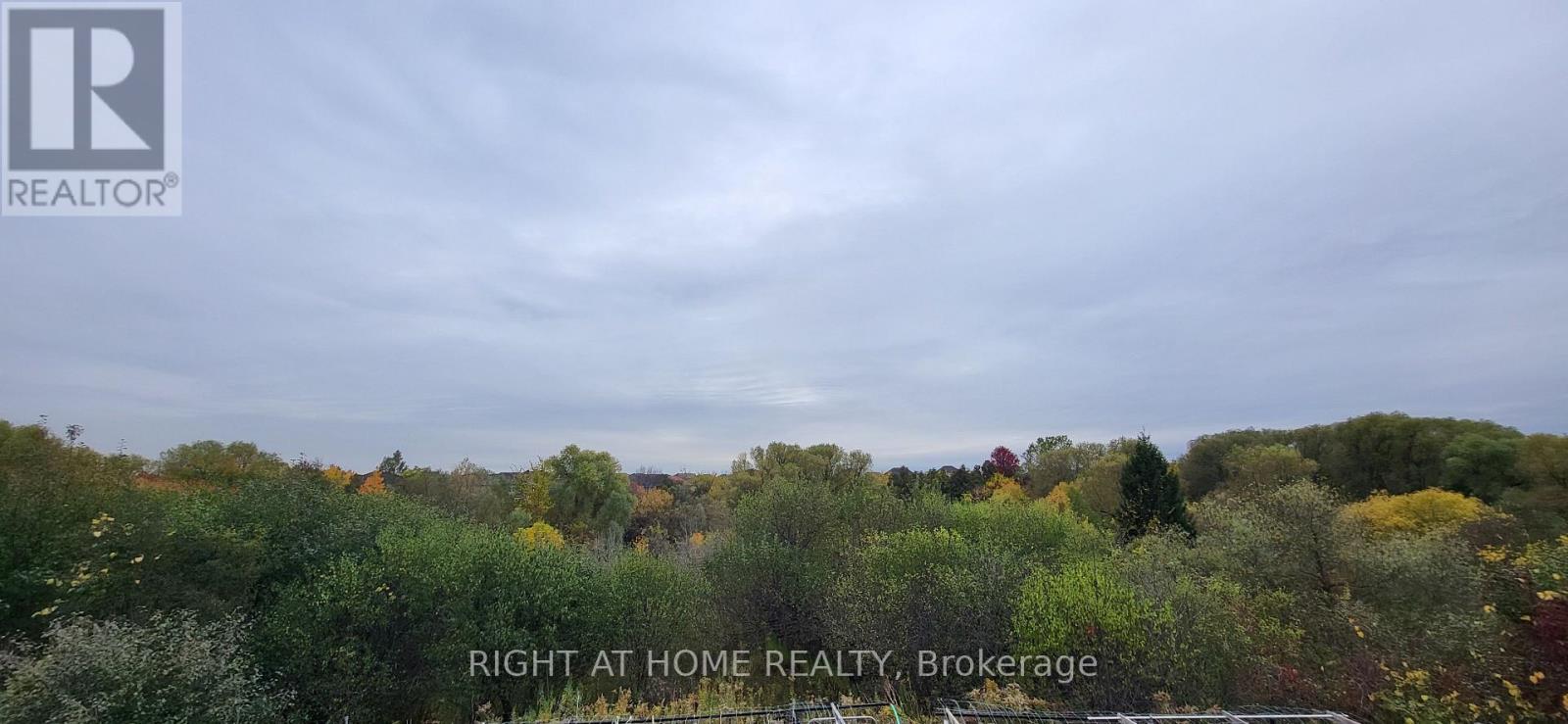 44 Moldovan Drive, Brampton, Ontario  L6R 0E4 - Photo 6 - W12466719