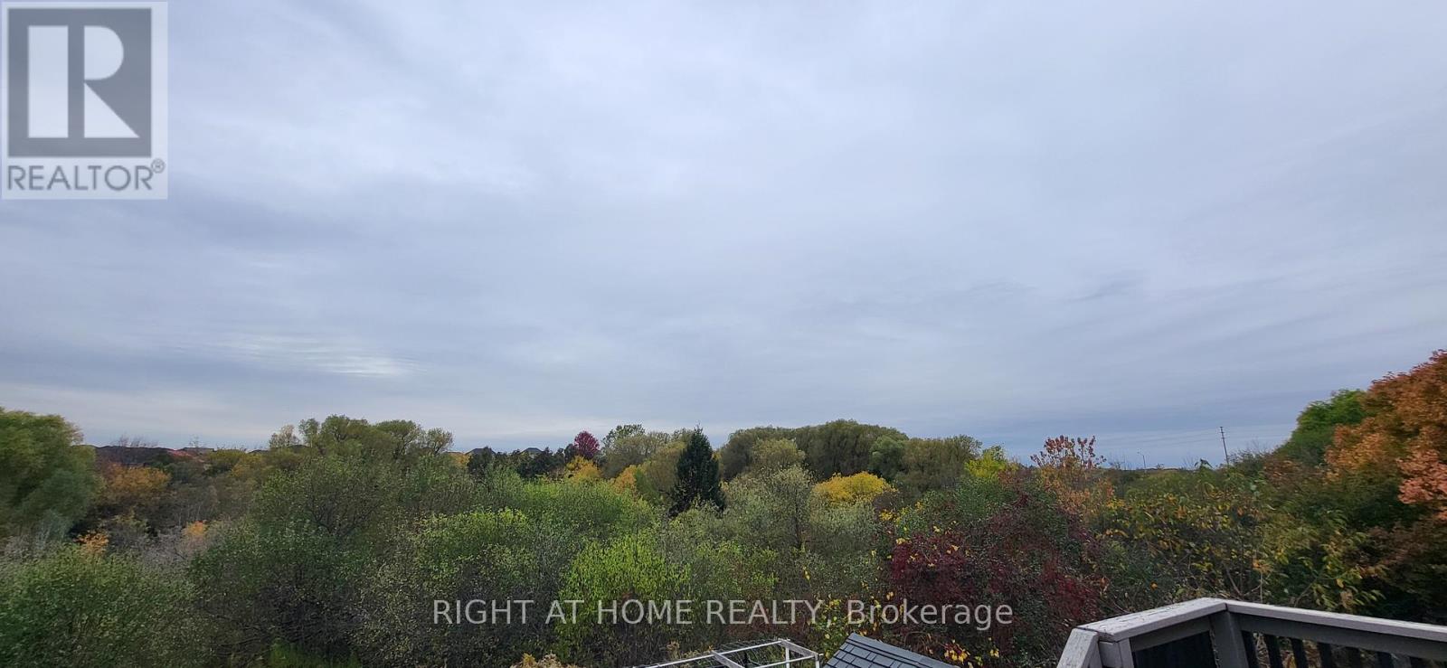 44 Moldovan Drive, Brampton, Ontario  L6R 0E4 - Photo 7 - W12466719