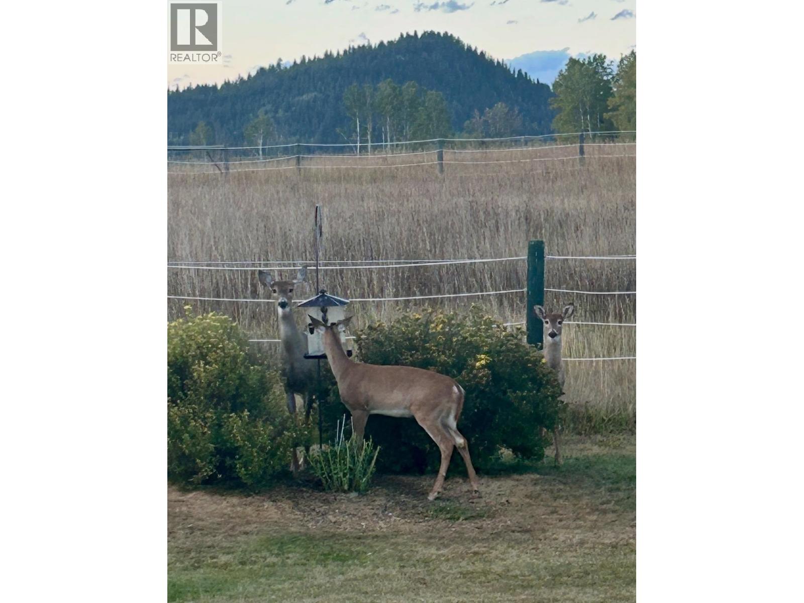 8320 Rainbow Country Road, Bridge Lake, British Columbia  V0K 1X2 - Photo 39 - R3059736