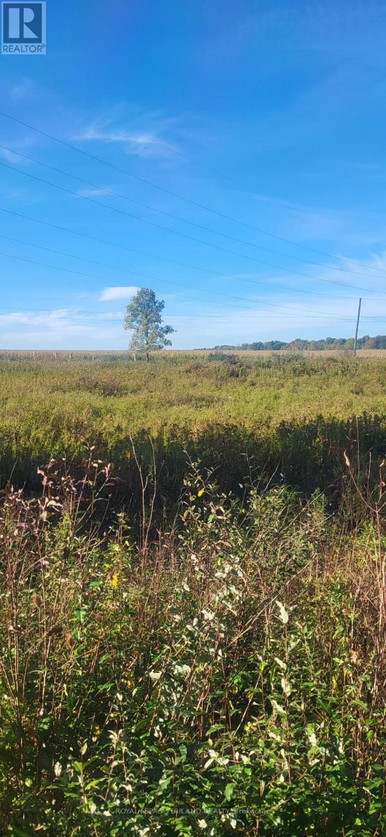 3225 Gully Moor Road N, Brooke-Alvinston, Ontario  N0N 1A0 - Photo 3 - X12470213