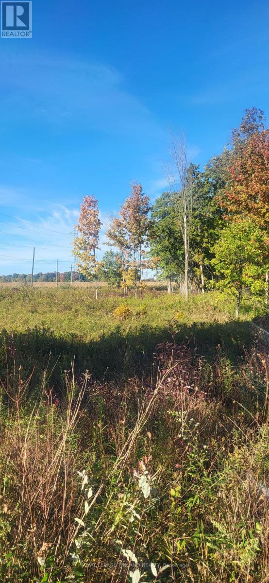 3225 Gully Moor Road N, Brooke-Alvinston, Ontario  N0N 1A0 - Photo 5 - X12470213