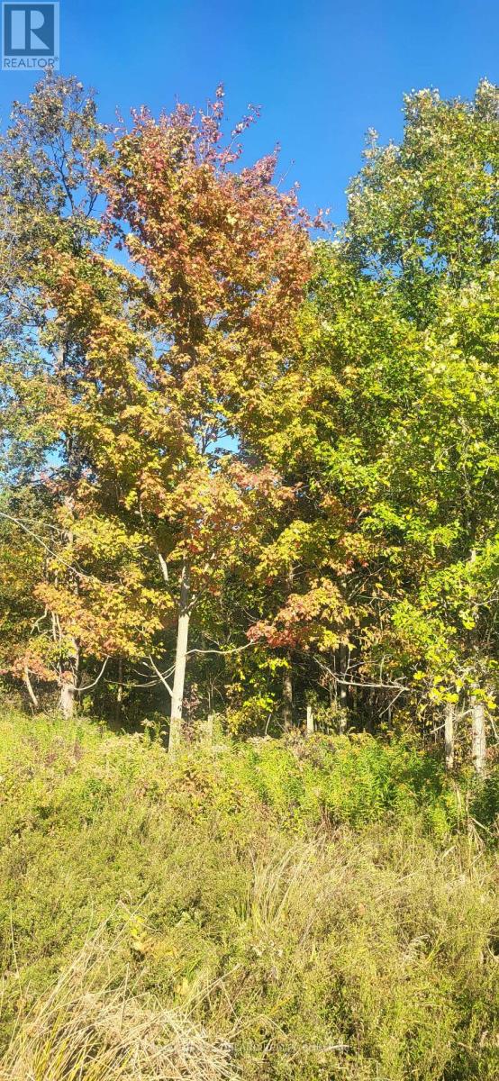 3225 Gully Moor Road N, Brooke-Alvinston, Ontario  N0N 1A0 - Photo 7 - X12470213